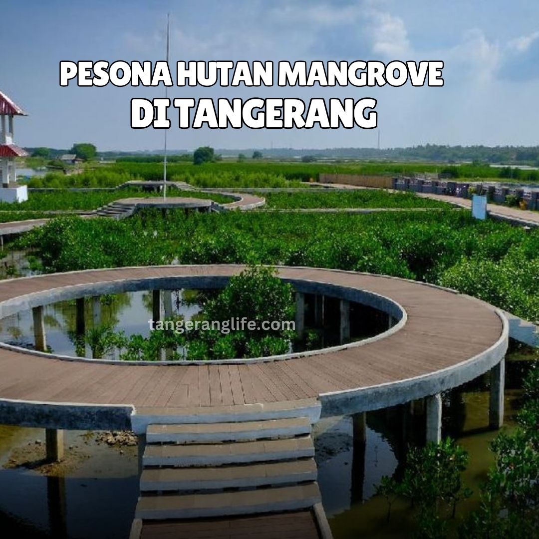 Hutan Mangrove Tangerang