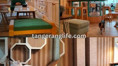 Cafe Kucing Terbaik di Tangerang