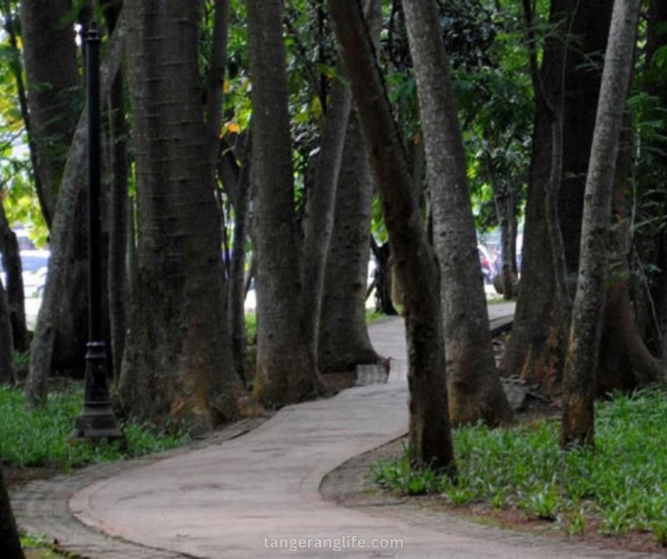 Keindahan Hutan Kota Tangerang Destinasi Wisata Alam Terbaik