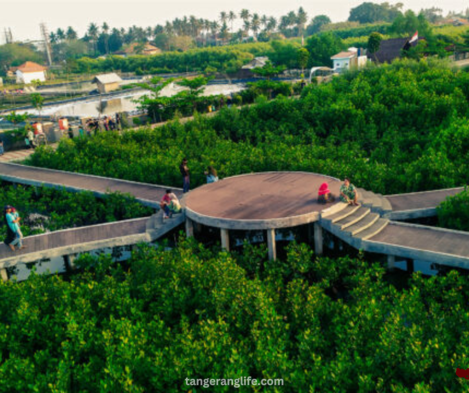 Nikmati Keindahan Eco Tourism di Tangerang Wisata Alam Unik