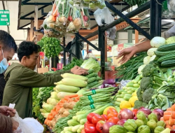 Pesona Pasar Induk Tangerang: Tempat Belanja Seru dan Murah