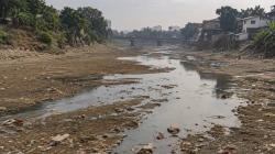 Sungai Cisadane Tangerang Surut Drastis