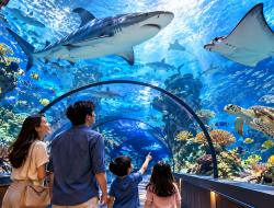 Promo Tiket BXSea Tangerang Selatan Oktober 2026, Diskon 30 Persen
